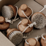 Face Brush